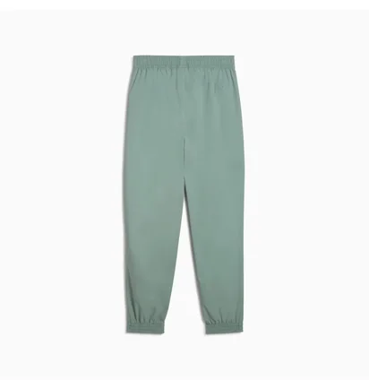 Штаны мужские Puma Pumatech Green 631163-30