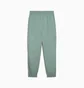 Штаны мужские Puma Pumatech Green 631163-30