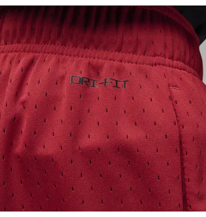 Шорты мужские Air Jordan M J Df Sprt Bc Hbr Mesh Short Red DZ0569-687