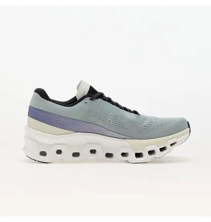 Кросівки чоловічі On M Cloudmonster 2 Grey 3ME10122078