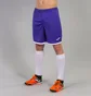 Шорты мужские Joma Toledo Violet 100006.550
