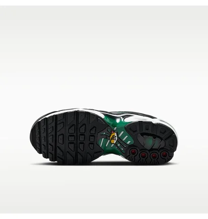 Кроссовки мужские Nike Air Max Plus Older Kids Shoes Black HF0094-001
