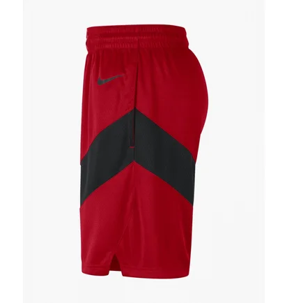Шорты мужские Nike Toronto Raptors Icon Edition 2020 Nba Swingman Red CN8089-657