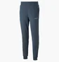 Штаны мужские Puma Ess Elevated Blue 673388-16