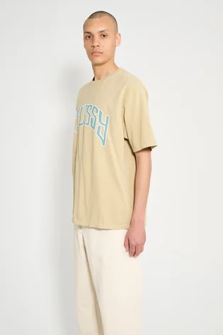 Футболка мужская stussy Arched Pig Beige 1905085-2727