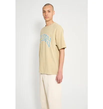 Футболка чоловіча stussy Arched Pig Beige 1905085-2727