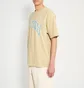Футболка чоловіча stussy Arched Pig Beige 1905085-2727