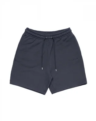 Шорты мужские Air Jordan Wordmark Fleece Short Blue FJ0700-045