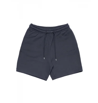 Шорты мужские Air Jordan Wordmark Fleece Short Blue FJ0700-045