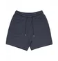Шорты мужские Air Jordan Wordmark Fleece Short Blue FJ0700-045