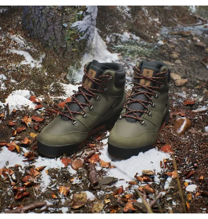 Черевики унісекс Adidas Terrex Snowpitch Cold.Rdy Hiking Olive IH3665