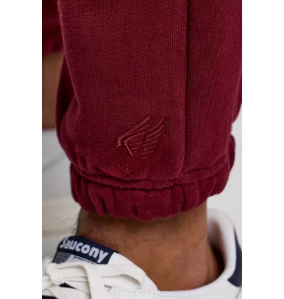 Штаны унисекс Saucony Recovery Sweatpant Bordo 800049-SUA3