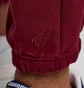 Штаны унисекс Saucony Recovery Sweatpant Bordo 800049-SUA3