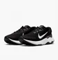 Кросівки жіночі Nike Womens Road Running Shoes Black Dc8184-001