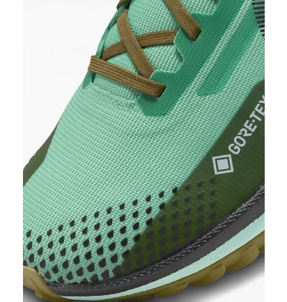 Кроссовки мужские Nike Pegasus Trail 4 Gore-Tex Turquoise DJ7926-301