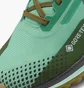 Кроссовки мужские Nike Pegasus Trail 4 Gore-Tex Turquoise DJ7926-301