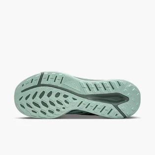 Кроссовки мужские Nike Juniper Trail 2 Gtx V2 Blue HM9734-302