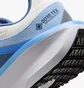 Кросівки жіночі Nike Winflo 11 Gore Tex Blue/Beige FQ1359-002