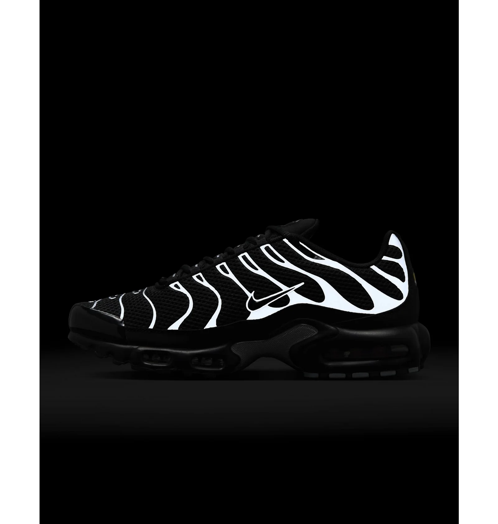ᐉ Кросівки чоловічі Nike Air Max Plus Premium Black HQ3029-001