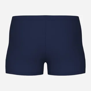 Плавки детские Arena Dynamo Jr Short R Blue 006501-700