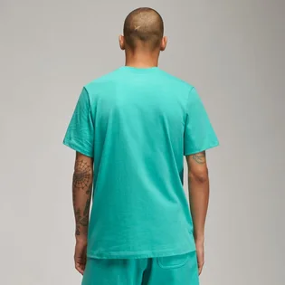 Футболка чоловіча Air Jordan Brand Graphic Crew 2 Light Blue DM1424-392