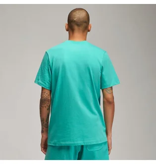 Футболка мужская Air Jordan Brand Graphic Crew 2 Light Blue DM1424-392