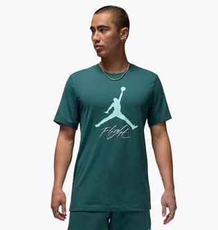 Футболка мужская Air Jordan Flight Hbr Tee Green AO0664-366