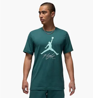 Футболка мужская Air Jordan Flight Hbr Tee Green AO0664-366