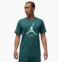 Футболка мужская Air Jordan Flight Hbr Tee Green AO0664-366