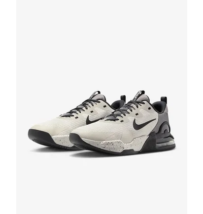 Кроссовки мужские Nike Air Max Alpha Trainer 5 Beige/Grey DM0829-013
