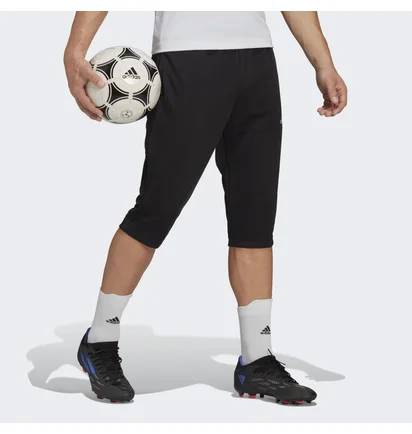 Шорты мужские Adidas Entrada 22 Black Hb0576