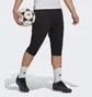 Шорты мужские Adidas Entrada 22 Black Hb0576