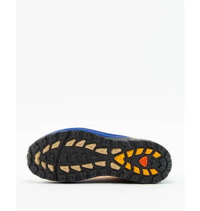 Кроссовки мужские Nike Acg Air Exploraid Hyper Royal Multi FJ1920-400