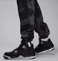 Штаны мужские Air Jordan Essentials Black/Grey FD7455-070