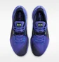 Кросівки чоловічі Nike M Metcon 10 Violet HJ1875-501