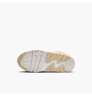 Кросівки дитячі Nike Air Max 90 Easyon (Ps) Multi HF6357-006