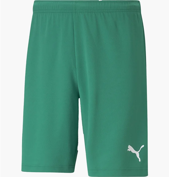 Шорты мужские Puma Shorts Teamrise Short Green 704942-05