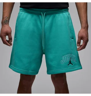 Шорти чоловічі Air Jordan Brk Lbr Gfx Turquoise IB7910-392