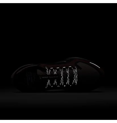 Кросівки жіночі Nike Pegasus 41 Gore Tex Bordo FQ1357-200