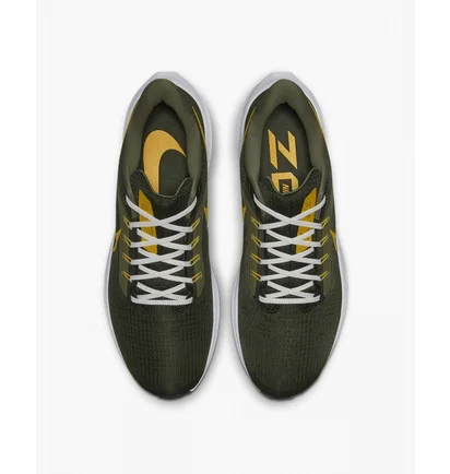 Кросівки чоловічі Nike Pegasus 39 Black Fd0785-300