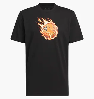 Футболка мужская Adidas Basketball Fire Black IX0107