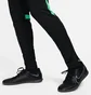 Штани чоловічі Nike Dri-Fit Academy Pro Black Dh9240-011