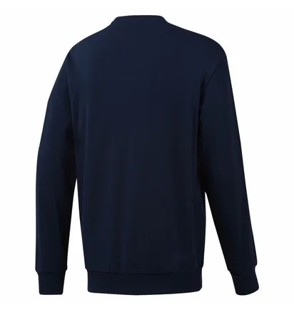 Свитшот мужской Reebok Classic Big Iconic Crewneck Sweatshirt Blue DT8121