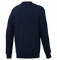 Свитшот мужской Reebok Classic Big Iconic Crewneck Sweatshirt Blue DT8121