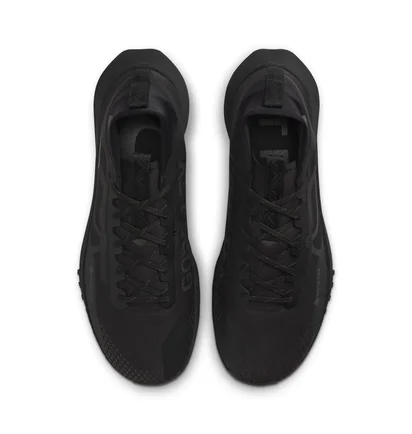 Кроссовки мужские Nike React Pegasus Trail 4 Gtx V2 Black HM9728-002
