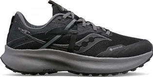 Кроссовки мужские Saucony Ride 15 Tr Gtx Black S10799-10