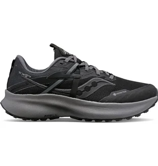 Кроссовки мужские Saucony Ride 15 Tr Gtx Black S10799-10