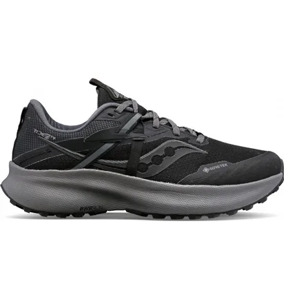 Кроссовки мужские Saucony Ride 15 Tr Gtx Black S10799-10