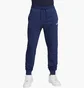 Штани чоловічі Nike Club Knit Joggers Blue FQ4330-410