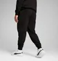 Штаны мужские Puma Ess No. 1 Logo Sweatpants Black 682606-01